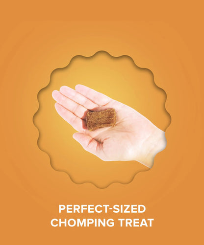Plato Pet Treats Real Strips - Air-Dried Meat Bars for Dogs - Delicious, Limited Ingredient Dog Treats - Grain Free - Original Real Strips Turkey & Pumpkin 18oz - 2 Pack