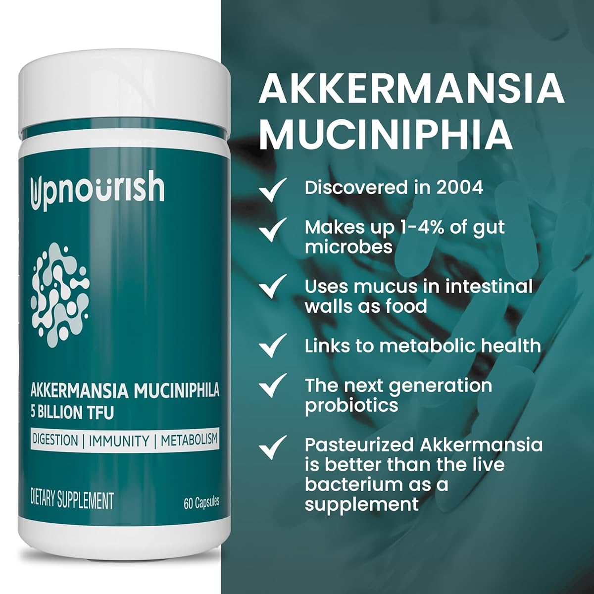 UpNourish Probiotics - 200 Billion CFUs for Men and Women, 15 Clinically Studied Strains, Prebiotics & Enzymes - 60 Vegan Capsules