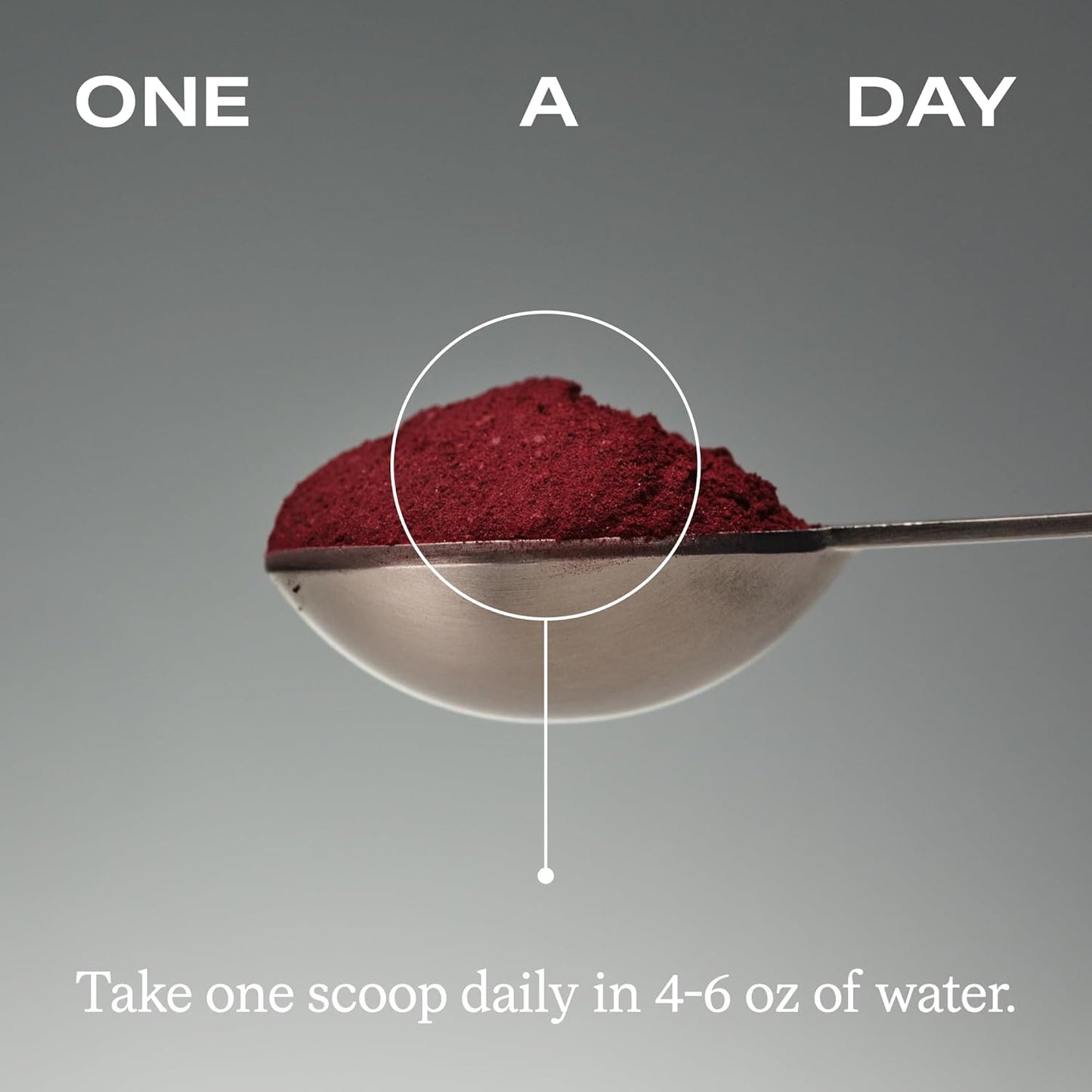 HumanN SuperBeets Beet Root Powder - Non-GMO Beetroot Superfood - Nitric Oxide Supplement for Heart Health, Circulation & Blood Pressure Support - Black Cherry, 30 Servings