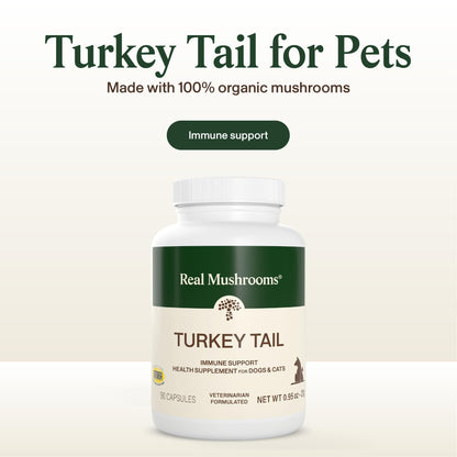 Real Mushrooms Turkey Tail Capsules for Pets –Cat Probiotics & Dog Vitamins – Organic Mushroom Supplement for Dogs & Cats – Supports Daily Balance & Well-Being Non-GMO, 90 ct
