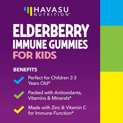 Elderberry Gummies for Kids with Vitamin C & Zinc, Berry, 30 Servings | Vegan, Non-GMO, Gluten Free Immune Support for Children, Daily Defense with Antioxidants & Essential Nutrients, 60 Count