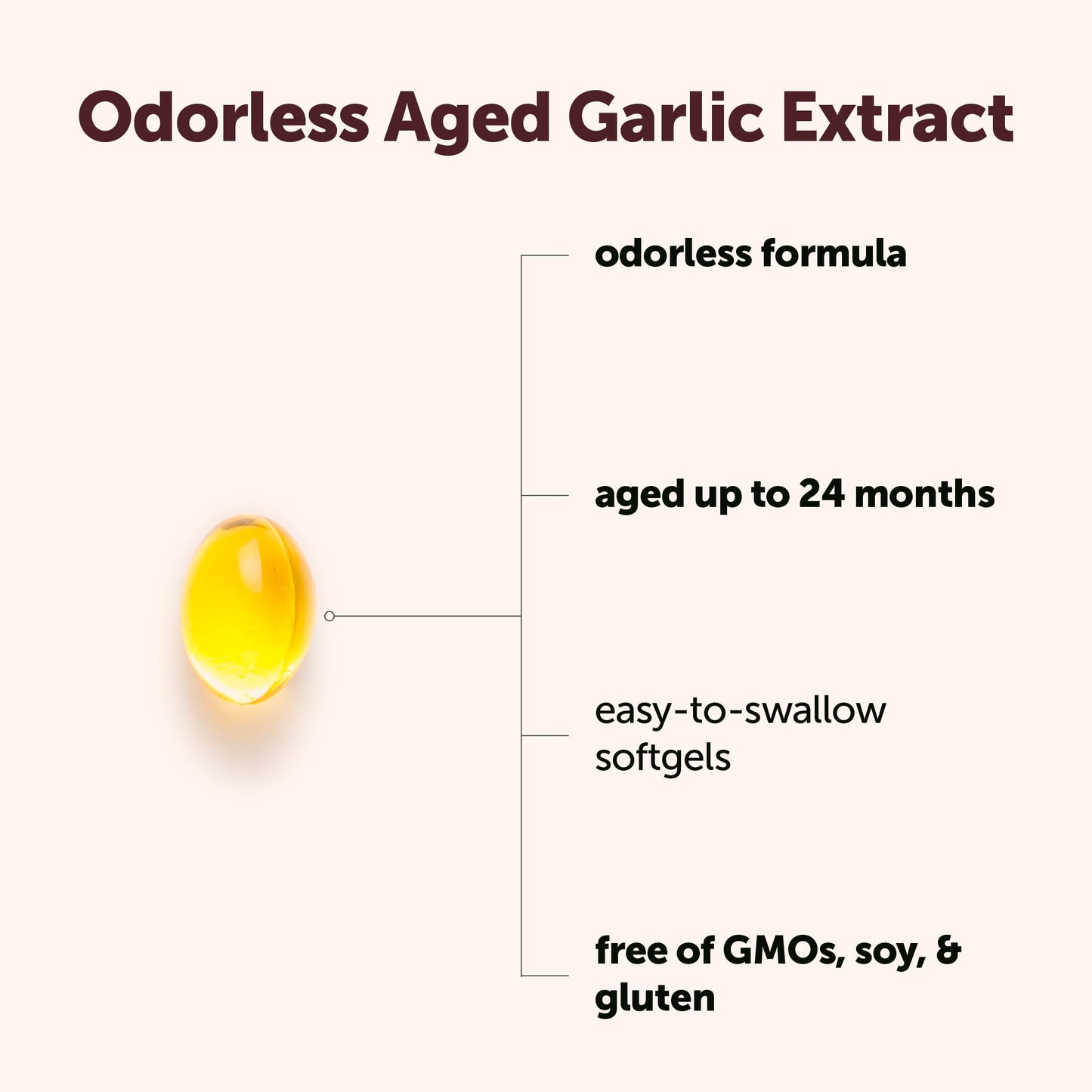 Micro Ingredients Odorless Garlic, 300 Softgels | 2 Years Aged Garlic Extract | Grown Allium Sativum Bulb | Natural Herbal Supplements | Non-GMO, Gluten Free