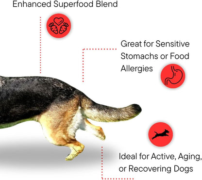 Dr. Kellyann Bone Broth Meal Topper for Dogs | Grass-Fed Beef Recipe | 3g Collagen | Supports Healthy Digestion & Joints | Shiny Coat | Grain Free | 6.60 oz