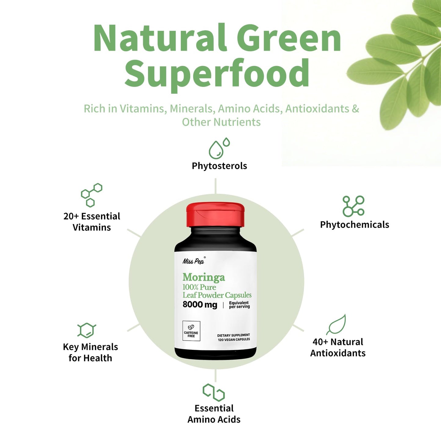 Moringa Capsules 800 mg Moringa 10:1 Extract – Vegan, Non-GMO, Gluten Free Superfood Supplement for Energy & Immune Health – 120 Capsules (1 Bottle)