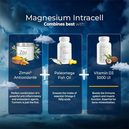 Premium Magnesium INTRACELL - 500 mg - 120 Capsules (2-Pack)