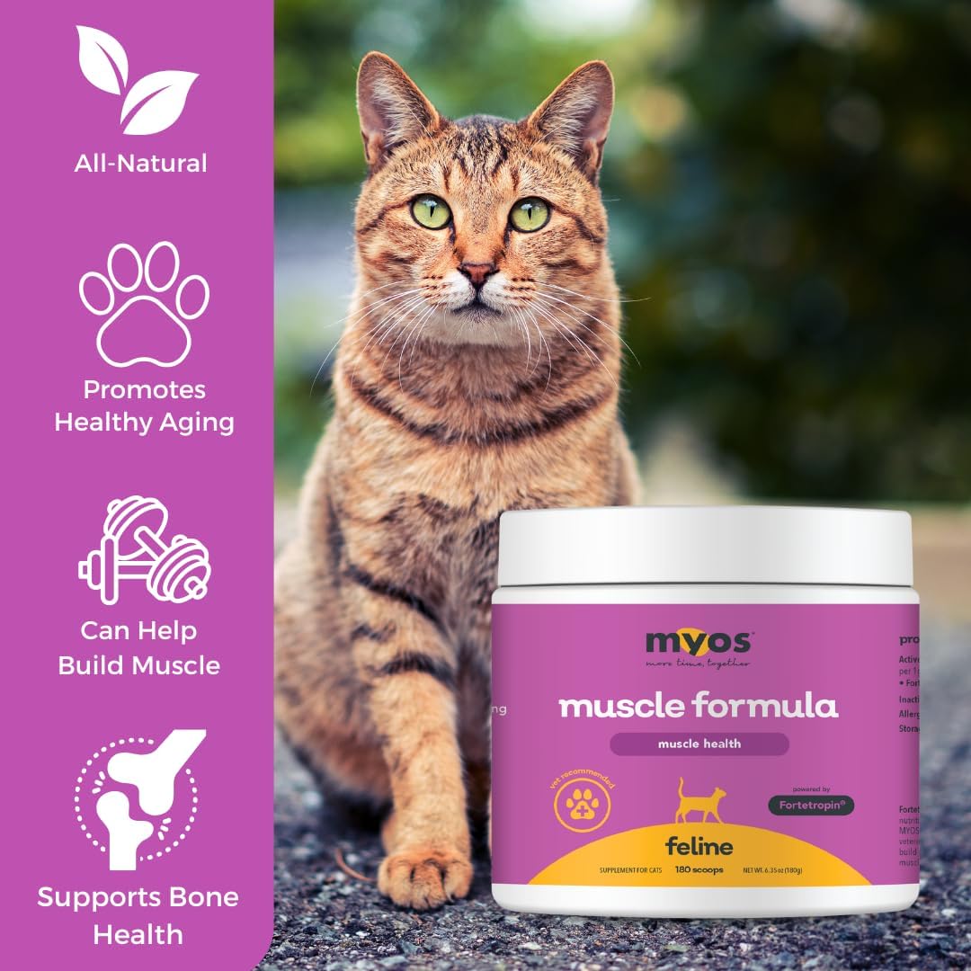 Powered by Fortetropin for Senior Cats - Aids Weight Gain, Muscle Growth & Mobility Support - Natural, Cat Nutritional Supplement - 180 Servings
