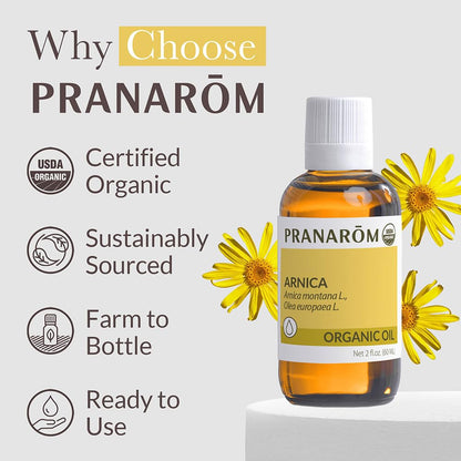 Pranarom - USDA Certified Organic French Arnica Virgin Plant Oil - 2 fl oz Glass Bottle - Massage Oil for Body