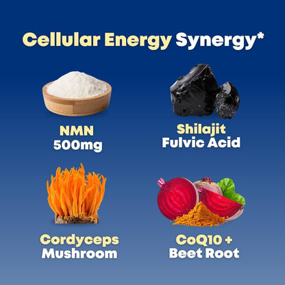 NMN 500mg & Himalayan Shilajit 50% Fulvic Acid Supplement - NAD, Mitochondria & ATP, Cellular Vitality, Trace Mineral Support - CoQ10, Cordyceps Mushroom, Beet Root Extract - 90 Veggie Capsules