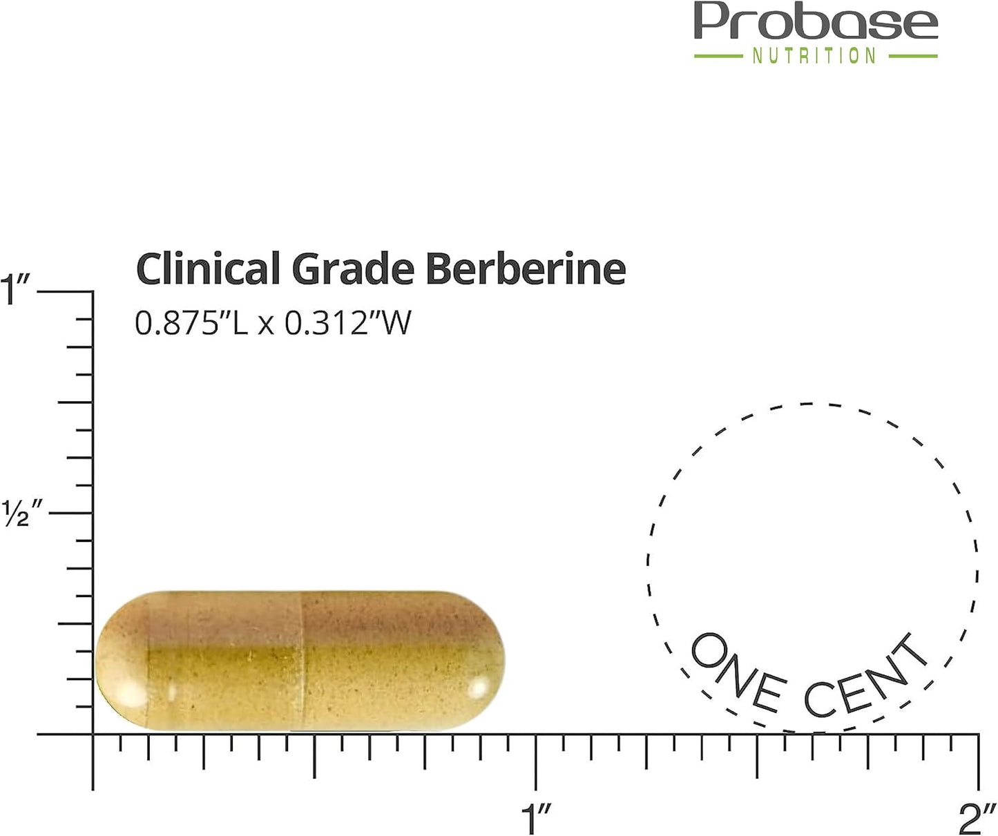 Probase Nutrition Berberine 1200mg with Ceylon Cinnamon Extract - Gluten Free and Vegan - 120 Capsules - Herbal Supplement
