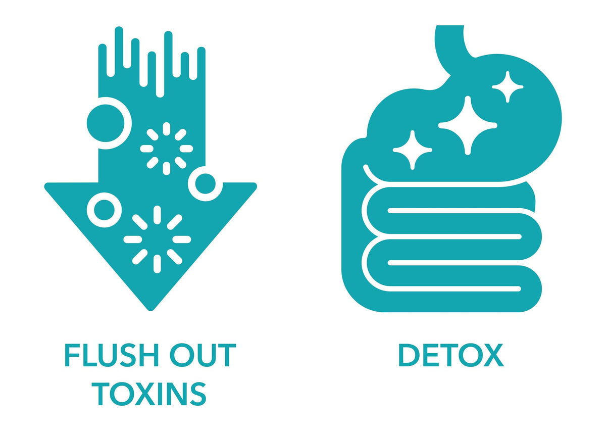Milamiamor 15 Day Cleanse - Gut and Colon Support | Advanced Gut Cleanse Detox