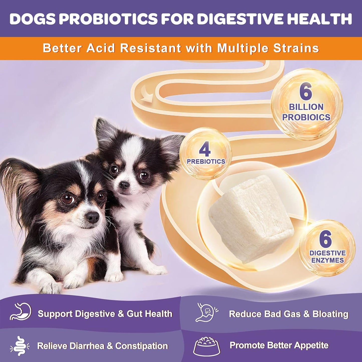 NATURE TARGET 6 Billion Freeze Dried Probiotics for Dogs, 120 Bites | With Prebiotics & Enzymes, Vitamins & Omega 3, Support Digestive & Gut Health, Itch Relief, Reduce Diarrhea
