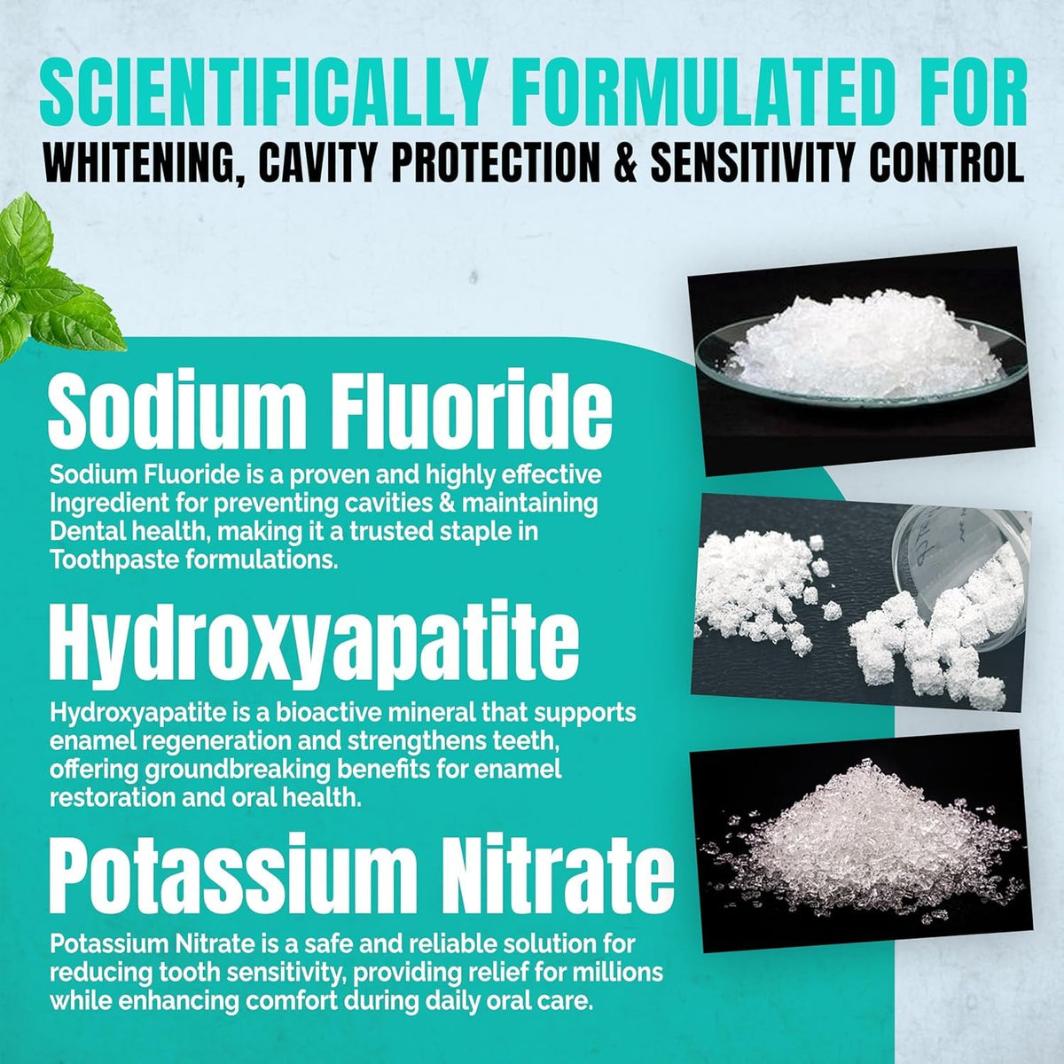 Ollie Toothpaste with Fluoride, 10% Nano Hydroxyapatite, Fresh Mint, 1 Pack