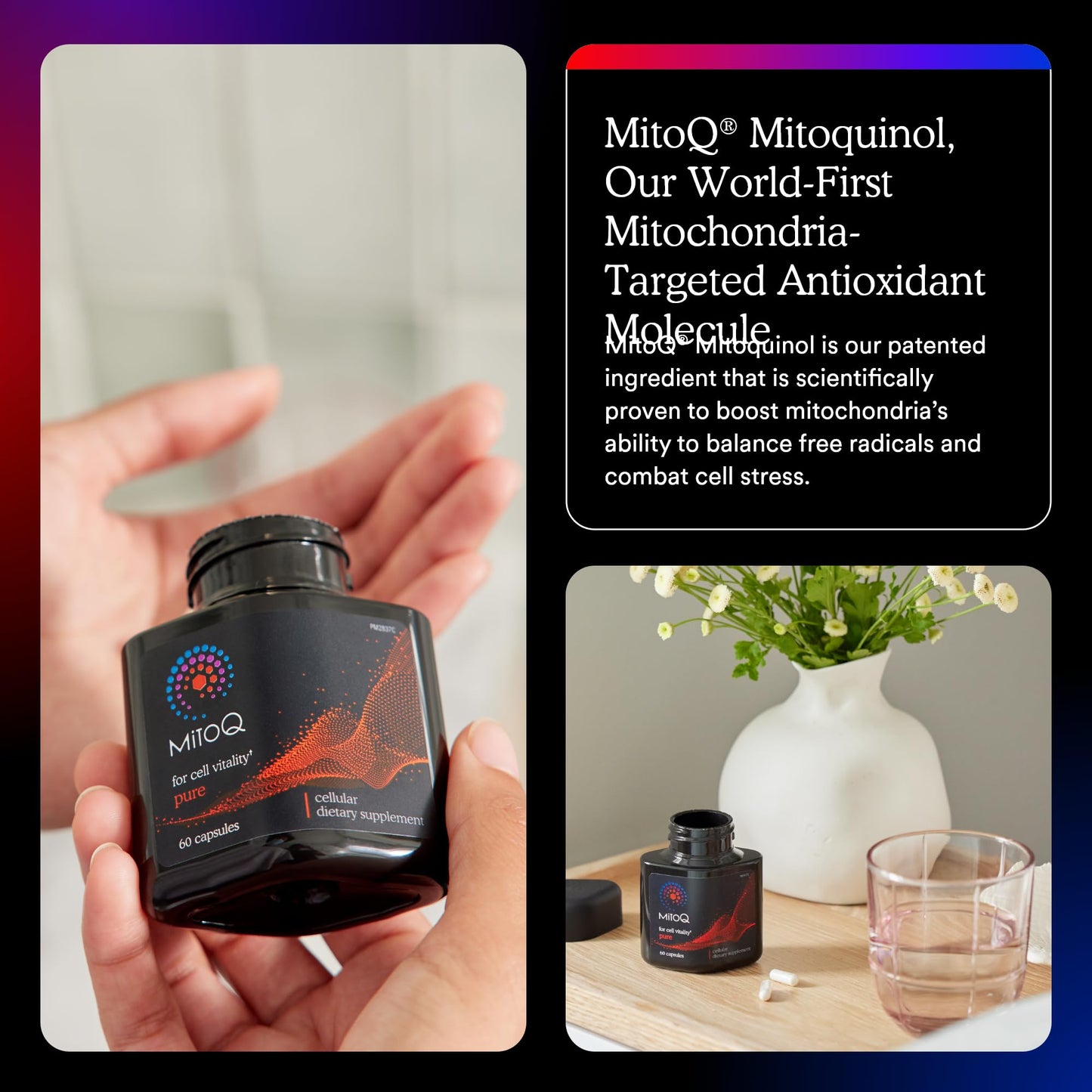 MitoQ Pure Advanced Mitochondria Supplement - Superior Bioavailability to CoQ10 - Patented Vitality Supplement for Sustained Energy, Heart Health, Metabolic Support, and Healthy Aging (60 Capsules)