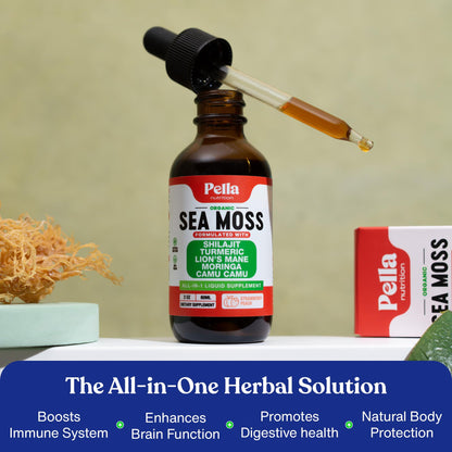 Sea Moss & Himalayan Shilajit Supplement - Enhanced with Turmeric, Lion's Mane