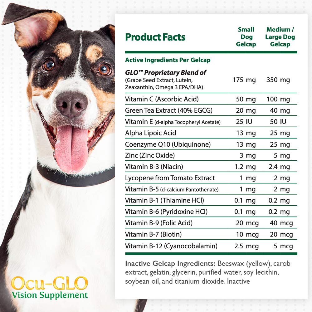 Vision Supplement for Medium to Large Dogs, 11+ lb, 90 Count | Veterinarian-Formulated Supplement Specifically Supports Eye Health; Unflavored & Easy to Give
