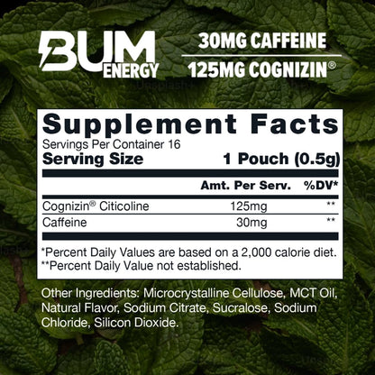 Bum Energy Pouches, Wintergreen, 30mg Caffeine + 125mg Cognizin Citicoline, Clean Energy & Focus, Discreet Oral Energy Pouches, 5 Packs of 16 Count