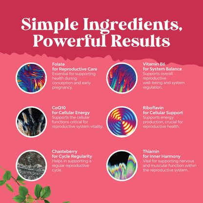 Fertility Supplement for Women with Prenatal Multivitamins - Female Fertility Support