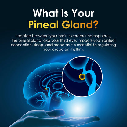 Pineal Guard X, Pineal Gland Supplement - Brain Support, Focus, and Memory | Liquid Dropper for the Brain, Activate, and Protect Your Pineal Gland, Third Eye Awakening