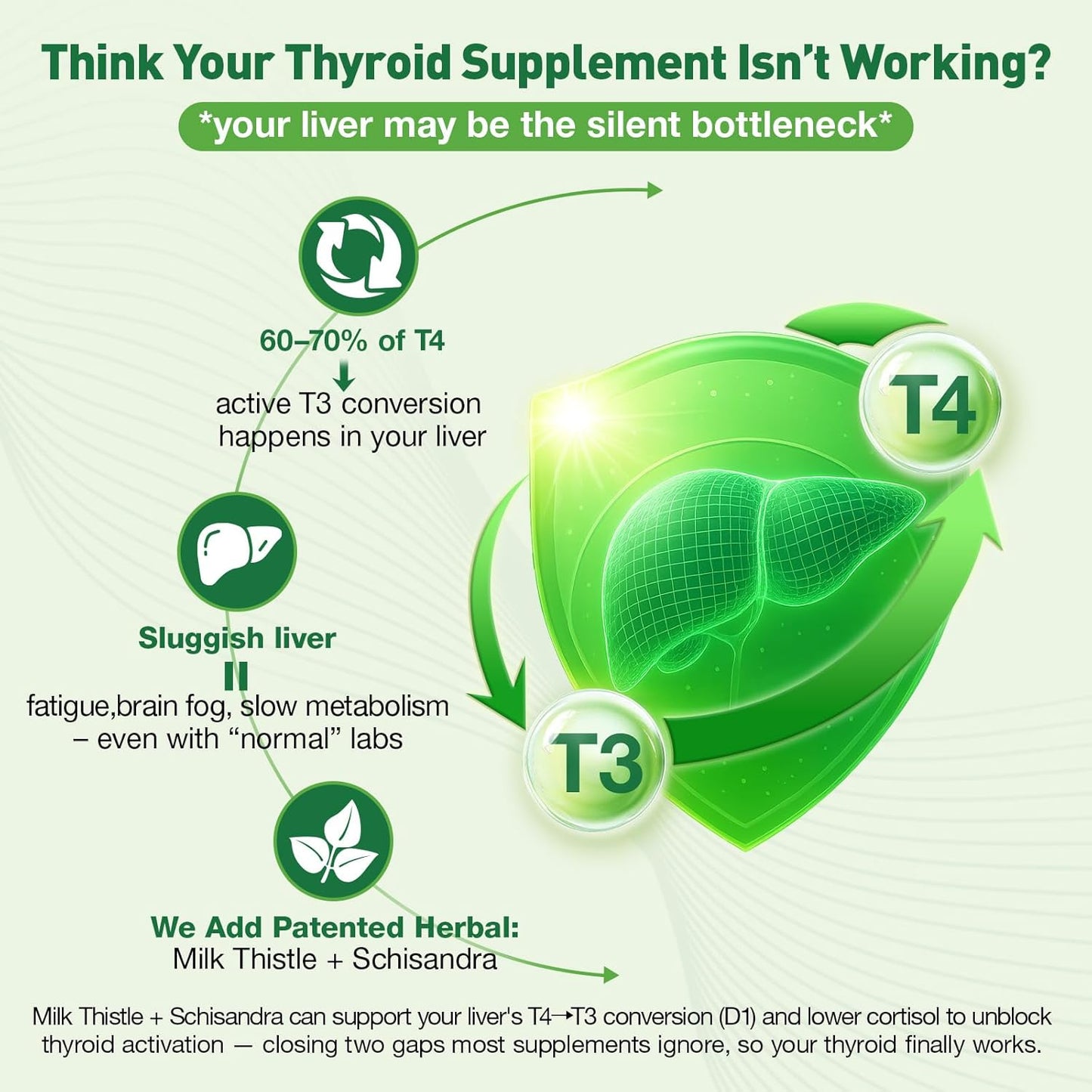 Totaria Liposomal Thyroid Support Drops, Iodine, Selenium, Zinc | Ashwagandha, L-Tyrosine, B12 | Energy, Metabolism, Hormone & Mood, 2 Fl.Oz