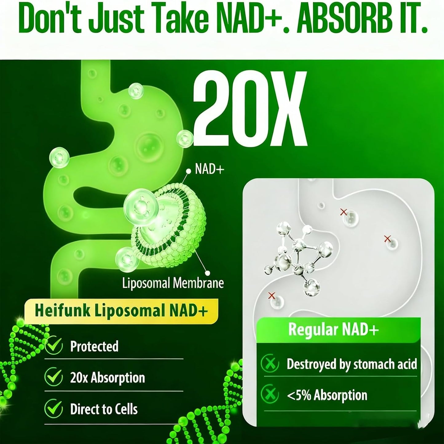1PCSLumine Organics NAD+ Supplement for Energy Metabolism Support, Liposomal Capsules Containing Resveratrol,Nicotinamide Ribosidean & Quercetin,Alternative to NMN Supplement,Gluten-Free,Vegan (1PCS)