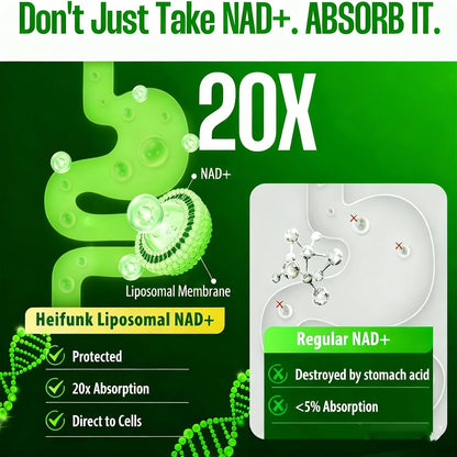 1PCSLumine Organics NAD+ Supplement for Energy Metabolism Support, Liposomal Capsules Containing Resveratrol,Nicotinamide Ribosidean & Quercetin,Alternative to NMN Supplement,Gluten-Free,Vegan (1PCS)