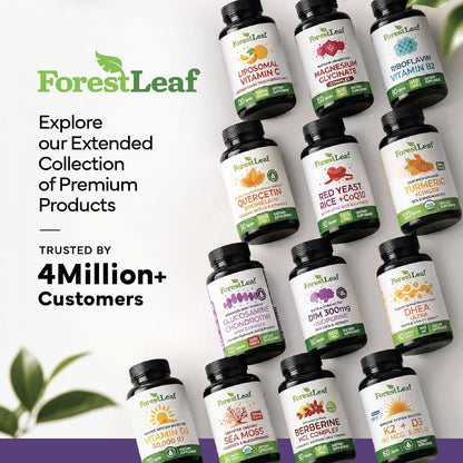 ForestLeaf L Theanine Supplement - L-Theanine 200mg with Ashwagandha and Magnesium for Focus, Stress Relief & Relaxation - Non-GMO & Gluten Free - 100 Caps