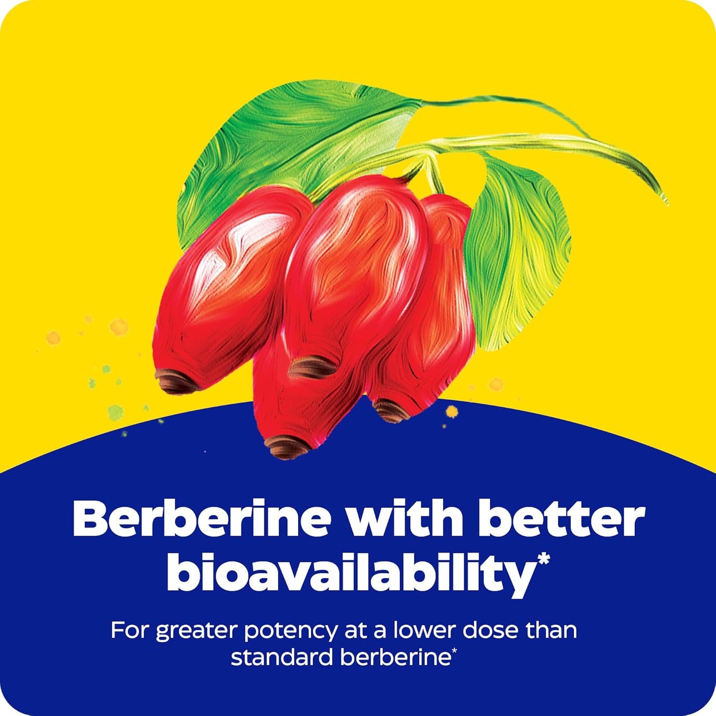 Enzymedica Berberine Phytosome High Absorption Supplement - Berbevis Berberine Phytosome Capsules for Men & Women, Bioavailable Formula, Natural Metabolic Health Support, Vegan, Gluten Free - 60 Caps