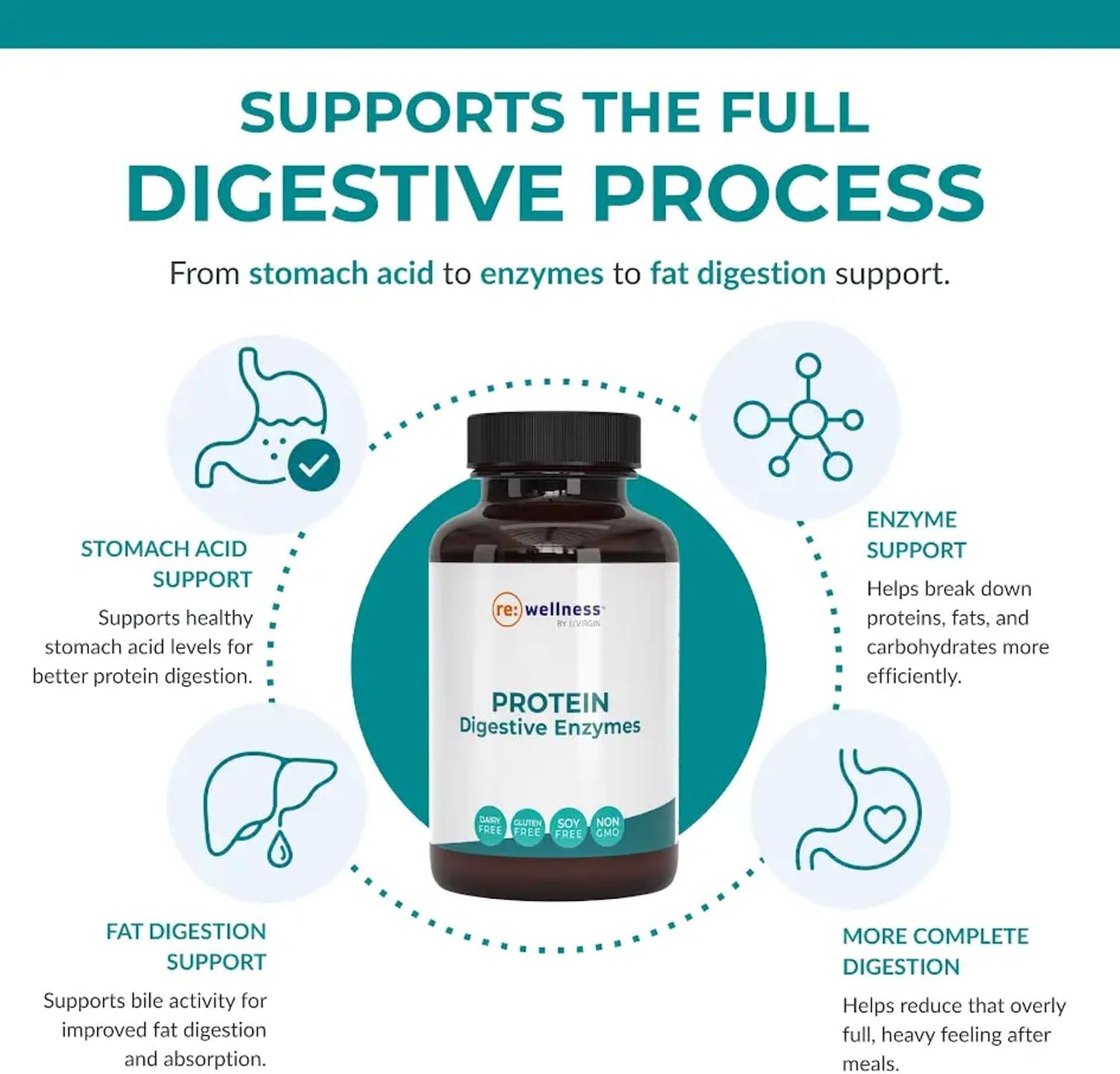 Reignite Wellness by JJ Virgin | Protein Digestive Enzymes | Supports Protein, Carb & Fat Digestion | Helps Reduce Bloating & Improve Nutrient Absorption | 60 Servings