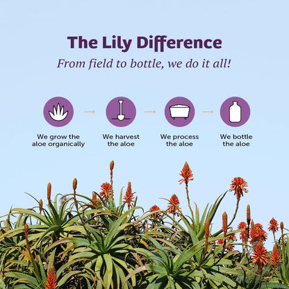 Lily Of The Desert Aloe Vera Juice, Whole Leaf, Organically Grown, Non-GMO, 64 Fl Oz