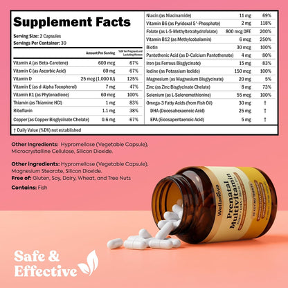 Prenatals Multivitamin for Women – with Iron – Family Planning & Pregnancy | Prenatal Vitamins With DHA, Folate & Gentle Chelated Minerals, 60 Capsules