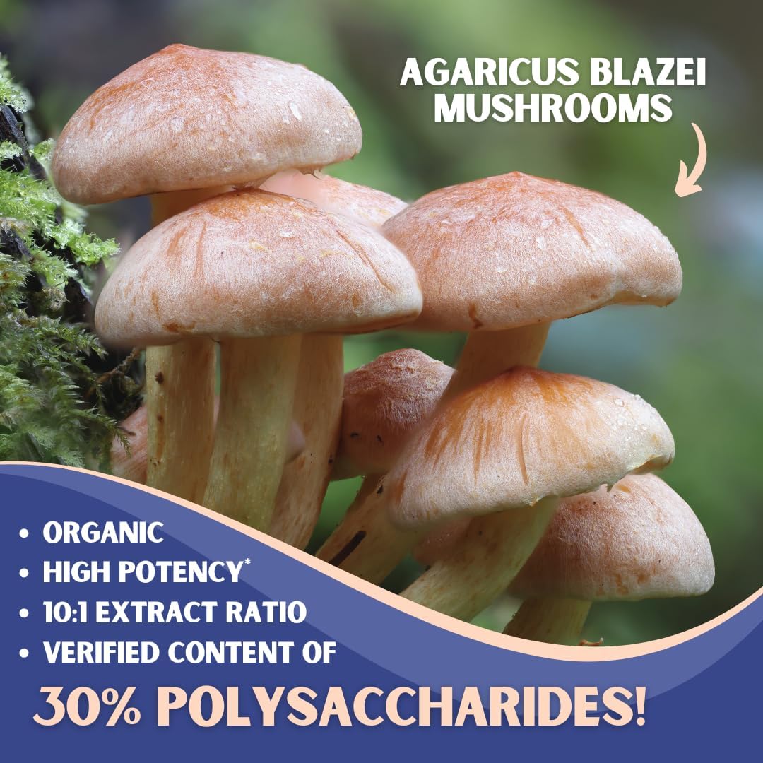 Agaricus Blazei Organic Mushroom Extract for Immune & Energy Support - 30% Polysaccharides & 180 Veggie Capsules - Non-GMO, Gluten-Free, Vegan-Friendly Supplement