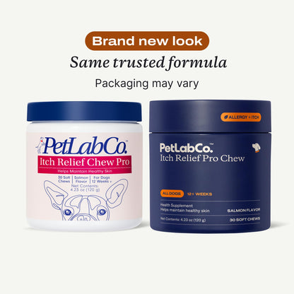PetLab Co. Itch Relief Chew Pro for Dogs, 30 Soft Chews, Pork | Quercetin, biotin and antioxidants in an omega-rich formula to support itch relief and skin hydration