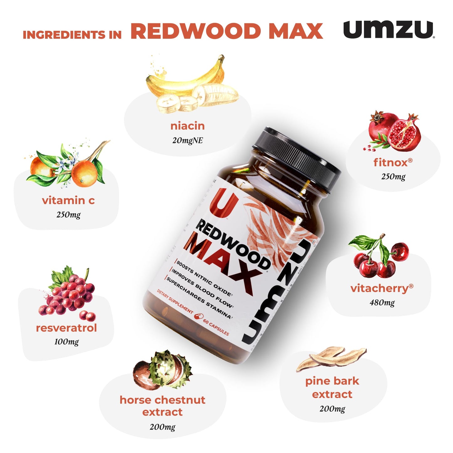 UMZU Redwood Max Nitric Oxide Booster, 1-Month Supply – Advanced Nitric Oxide Supplement with Fitnox Blend, Pine Bark, Resveratrol & Tart Cherry – Promotes Healthy Circulation, Energy and Recovery