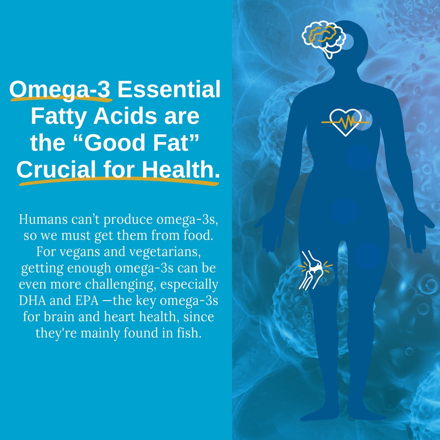 Xtendlife Omega 3 QH Fish Oil + CoQ10 for Heart, Brain, Joint & Skin-1100mg Omega - 3 with DHA, EPA, Ubiquinol, Astaxanthin & Lycopene - 1 Month Supply (60 Count)