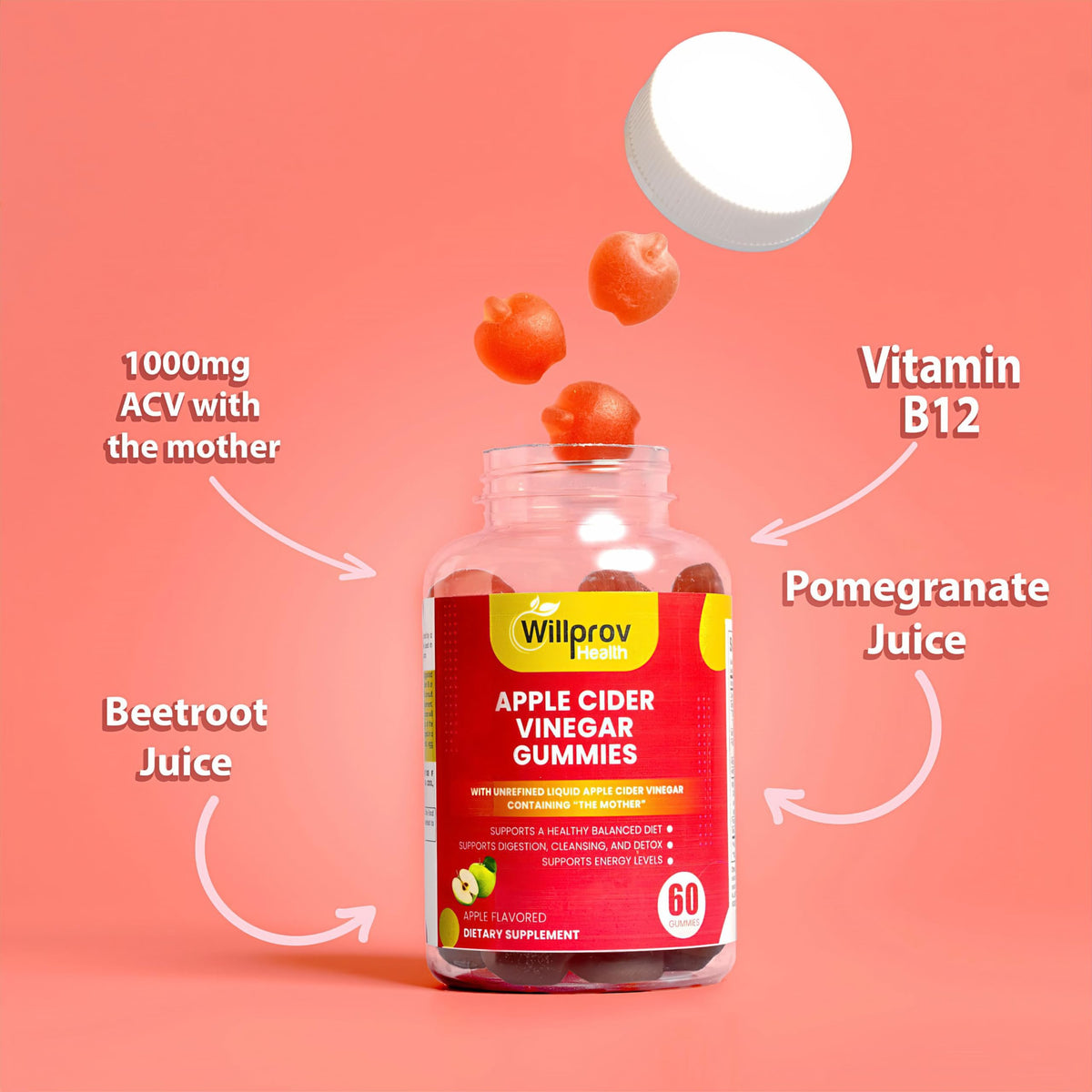 Willprov Health Apple Cider Vinegar Gummies - 1000mg ACV with Mother for Metabolism