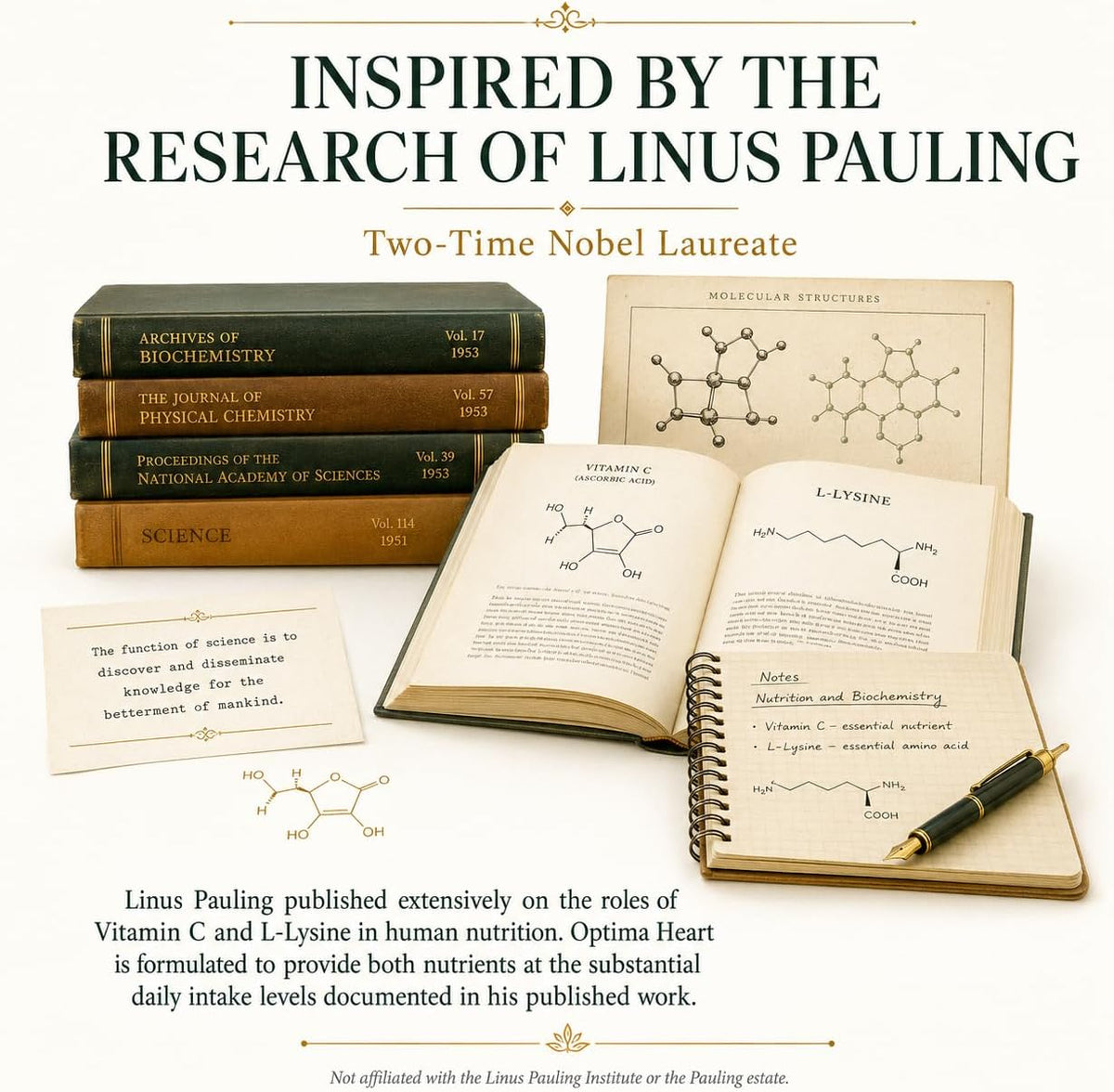 OptimaEarth Optima Heart - High-Dose Vitamin C and L-Lysine Powder Inspired by Linus Pauling, 3,000mg Each Per Serving, 30 Servings