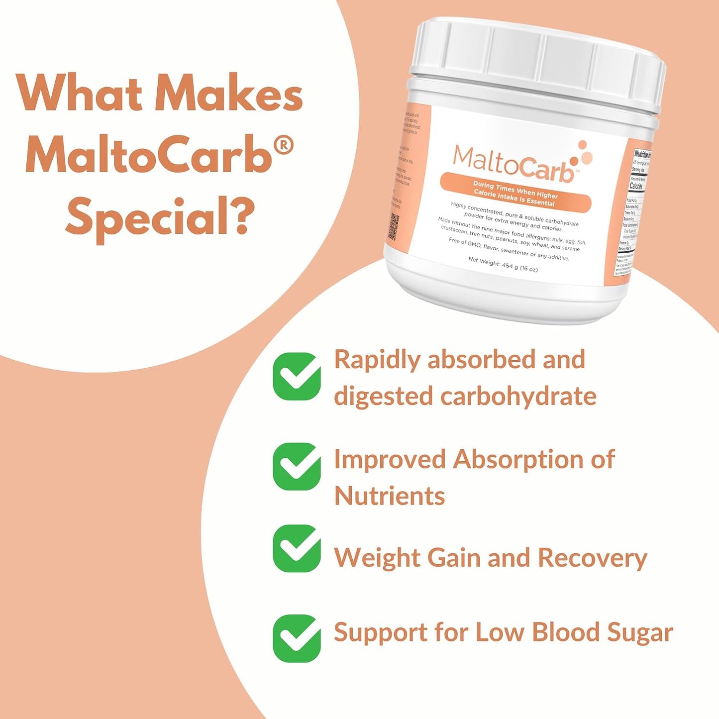 MaltoCarb Maltodextrin Powder, 454g | Carbohydrate Powder, Sustained Energy, Fast-Absorbing, Gluten-Free, Plant-Based