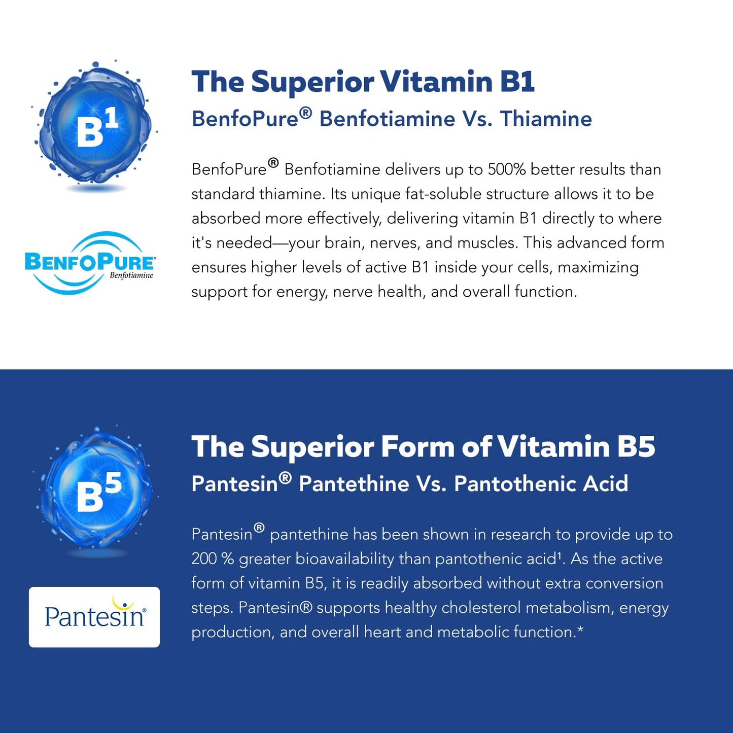 BioActive Vitamin B Complex - Blood Stream Ready, Methylated B Complex - Featuring Methylfolate, 3 BioActive Forms of B12, BenfoPure® B1 & Pantesin® B5 - 12 B Vitamins in Clinical Doses - 60 Servings