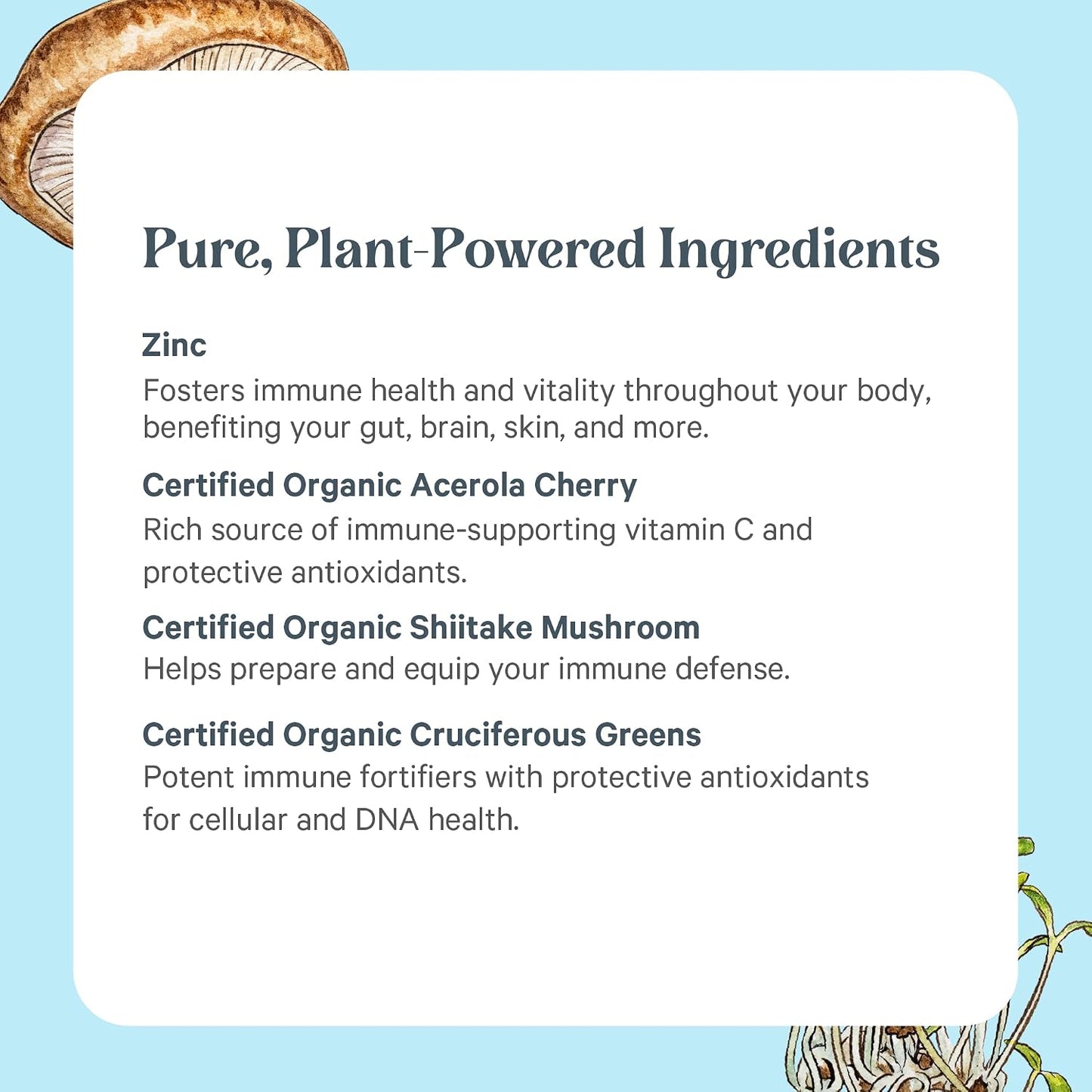 PURE SYNERGY Zinc Complex | Immune Support Supplement | Natural, Vegan Zinc Complex with Vitamin C and Organic Whole Foods | for Immune, Brain, and Skin Health (60 Capsules)