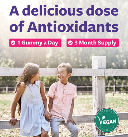Vegan Sambucus Elderberry Gummies for Adults - Black Elderberry Vitamin C and Zinc Gummies for Daily and Seasonal Wellness - Delicious and Nutritious Immune Support Gummy (1 Month Supply)