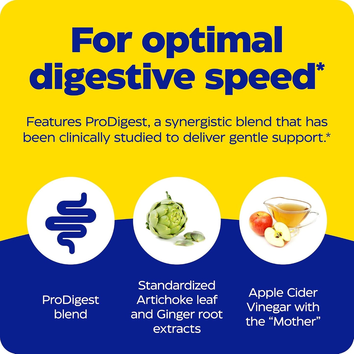 Enzymedica Gut Motility with Apple Cider Vinegar, Artichoke, 30 Caps | Supports digestive movement with ginger and botanical extracts