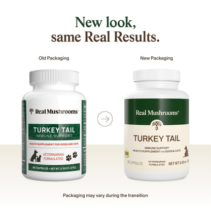 Real Mushrooms Turkey Tail Capsules for Pets –Cat Probiotics & Dog Vitamins – Organic Mushroom Supplement for Dogs & Cats – Supports Daily Balance & Well-Being Non-GMO, 90 ct