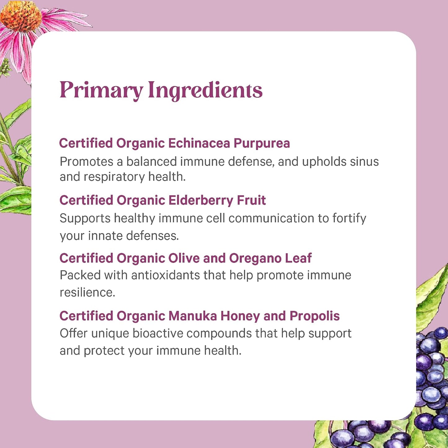 PURE SYNERGY Rapid Rescue | Organic Immune Support Capsules | Herbal Supplement with Echinacea, Elderberry, and Olive Leaf Extracts | for Immediate Immune Support (42 Capsules)