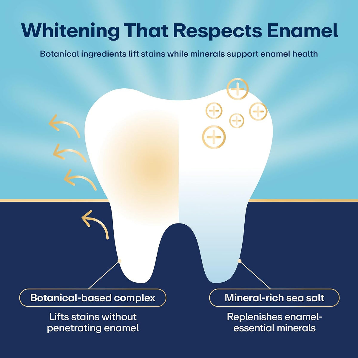 Lumineux Teeth Whitening Strips 9 Treatments – Peroxide Free - Enamel Safe for Whiter Teeth - Whitening Without The Sensitivity - Dentist Formulated and Certified Non-Toxic - Sensitivity Free