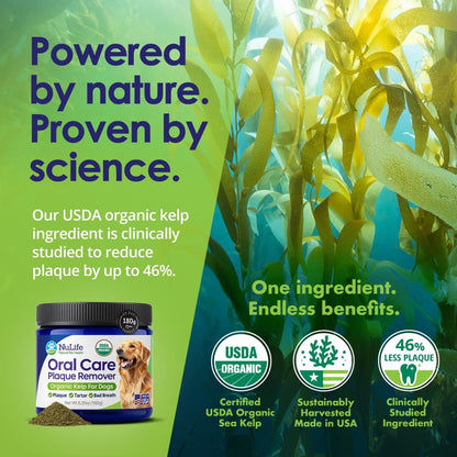 Dog Teeth Cleaning Powder, Dog Plaque and Tartar Remover, Bad Breath Treatment for Dogs with USDA Organic Sea Kelp Powder, Dog Dental Care Made Easy, for All Ages, 12 oz