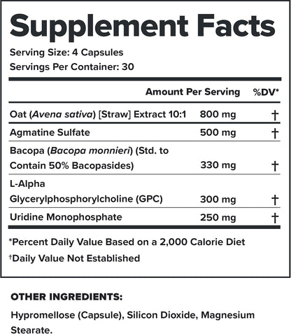 LEGION Athletics Ascend Nootropic - All-Natural Brain Supplements for Memory and Focus - Nootropics Brain Support Supplement with Alpha-GPC - Brain Supplement for Alertness & Mood Support, 30 Servings