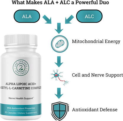 ALA & ALC Complex + 7 Mushroom Complex Bundle | Energy, Focus, Cognitive Support, Immunity, Metabolism & Daily Vitality
