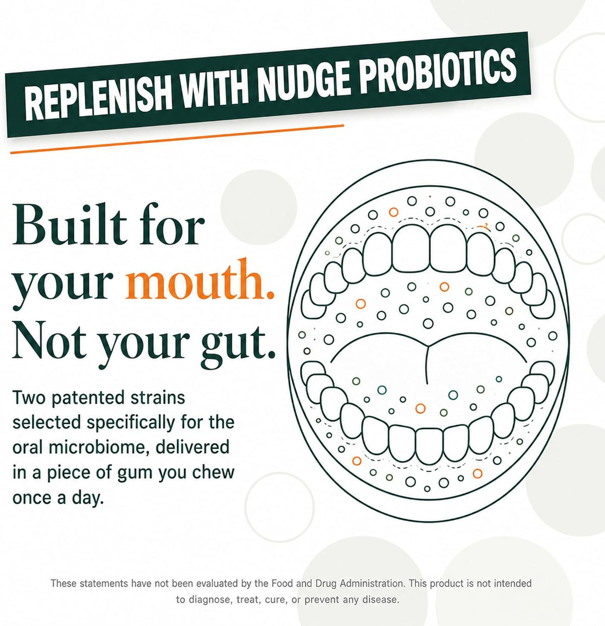 Nudge Probiotic Gum, Sugar Free Mint, Oral Microbiome Support, 24 Pieces