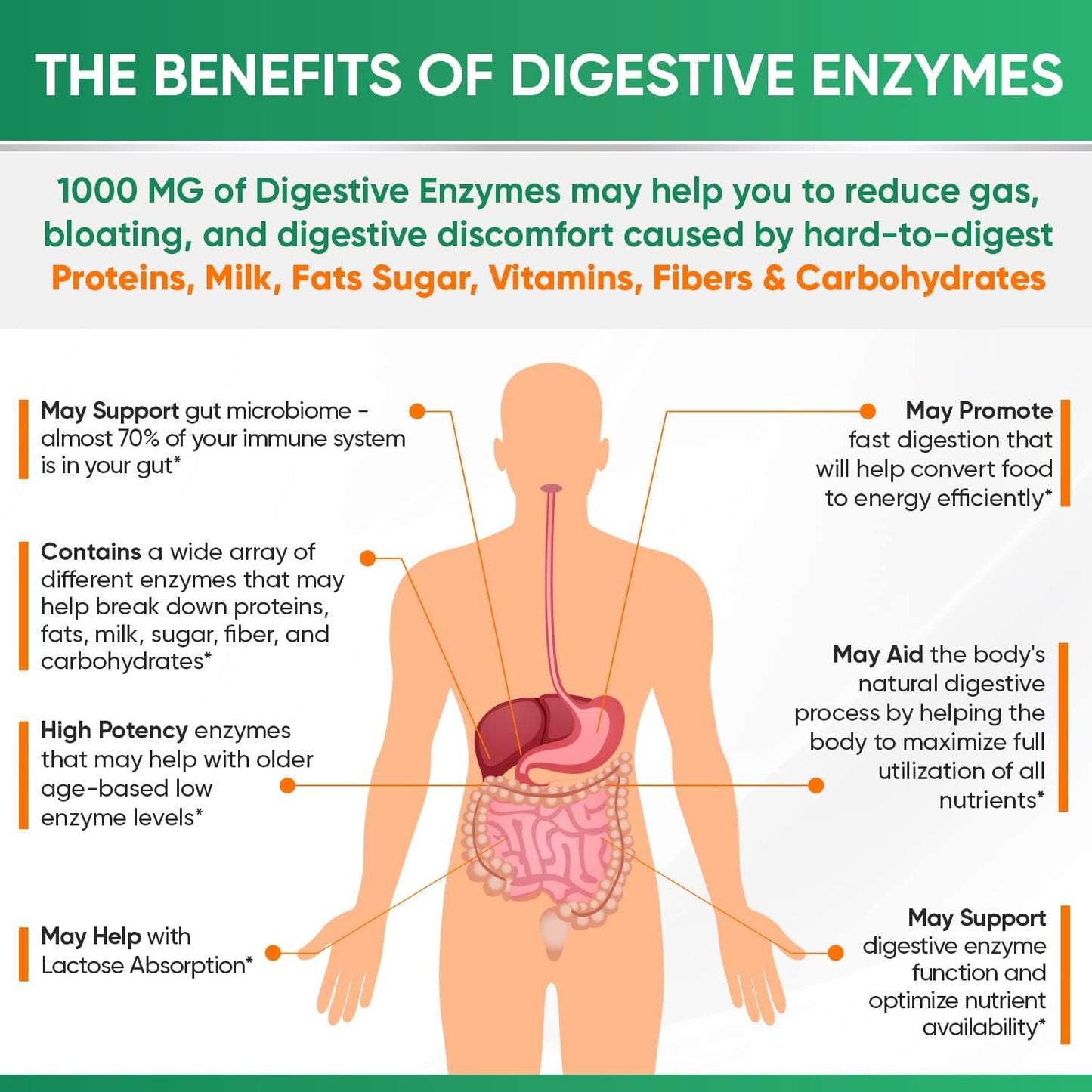 Wholesome Wellness Digestive Enzymes 1000MG Plus Prebiotics & Probiotics Supplement + Super-Absorb Multi Collagen Pills (Type I II III V X) Organic Herbs and Bioperine Bundle