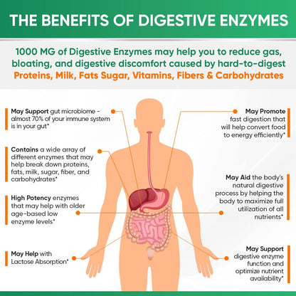 Wholesome Wellness Digestive Enzymes 1000MG Plus Prebiotics & Probiotics Supplement + Super-Absorb Multi Collagen Pills (Type I II III V X) Organic Herbs and Bioperine Bundle